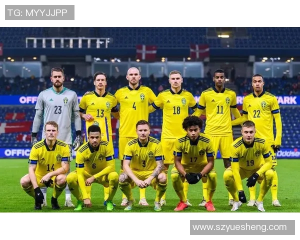 瑞典足球球星身价排行分析 助力球队表现与未来发展